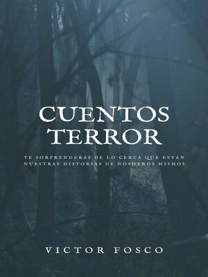 cover image of Cuentos Terror